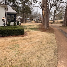 Essential-Spring-Cleanup-in-Oxford-MS 8